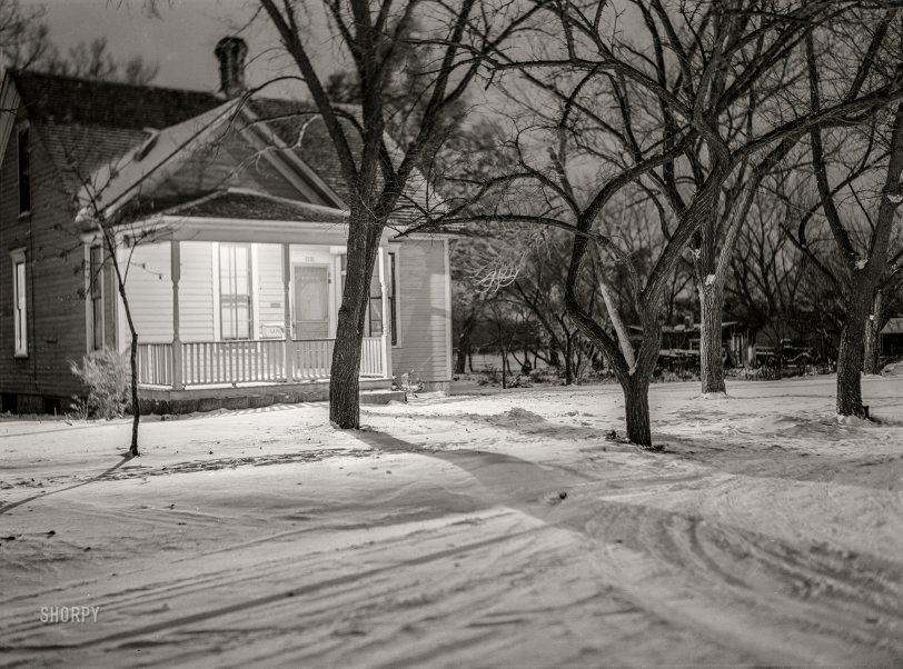 SHORPY 8c18382a.preview SHORPY 8c18382a.preview