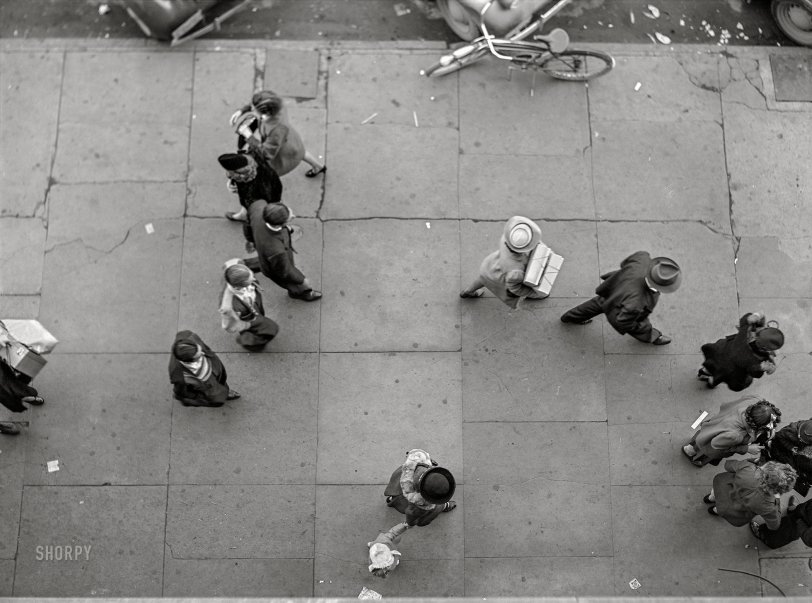 SHORPY 8c18580a.preview SHORPY 8c18580a.preview