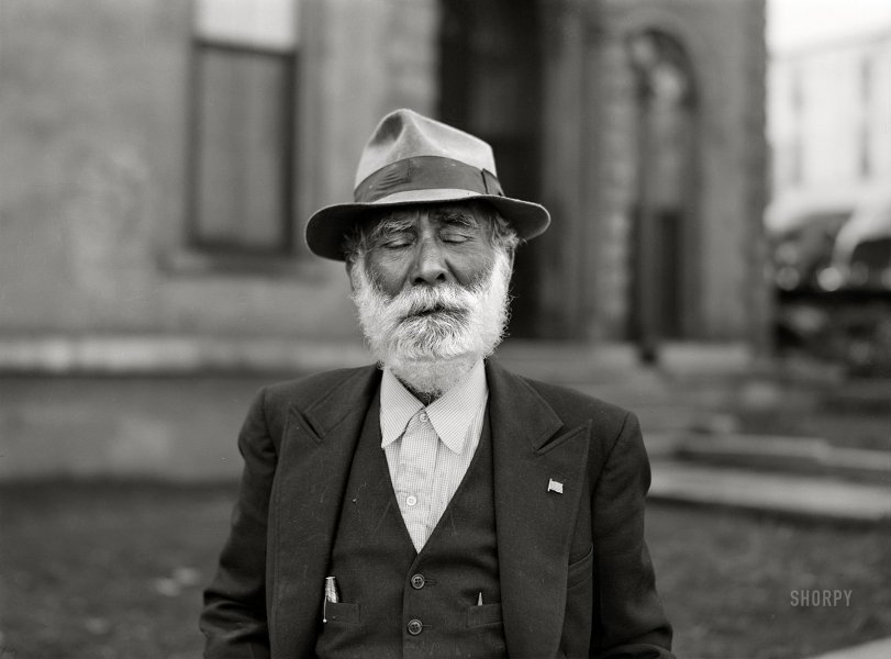 SHORPY 8c18605a.preview SHORPY 8c18605a.preview