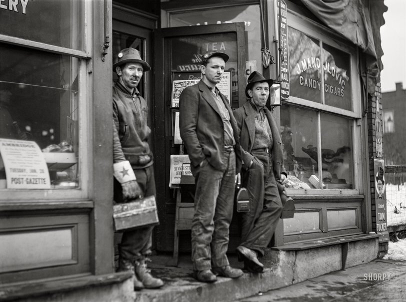 SHORPY 8c18758a.preview SHORPY 8c18758a.preview