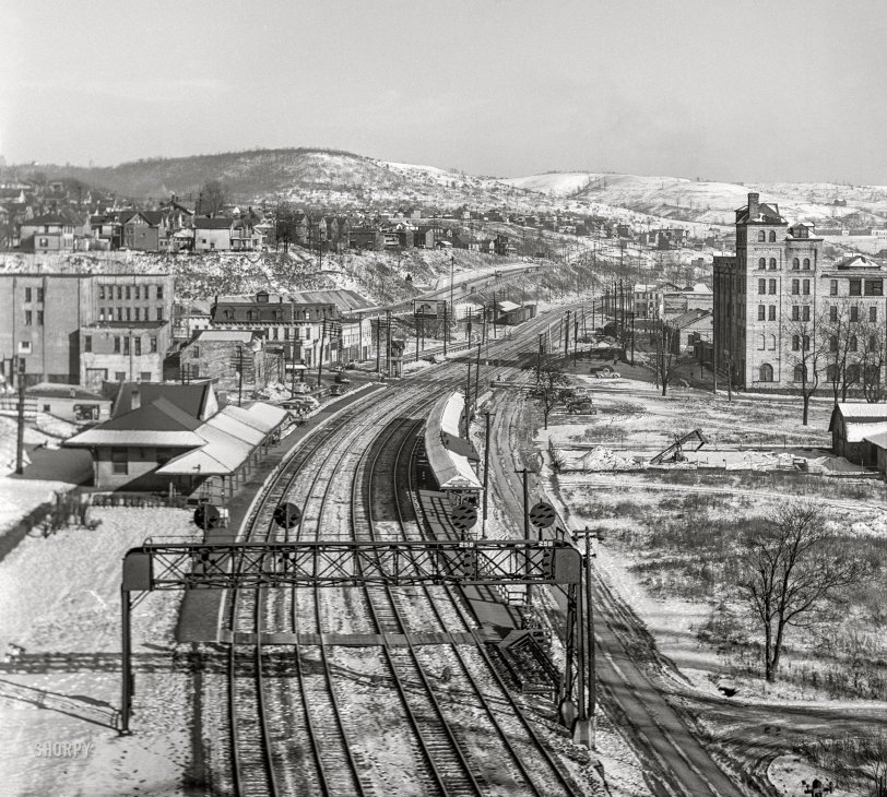 SHORPY 8c18864a1.preview SHORPY 8c18864a1.preview
