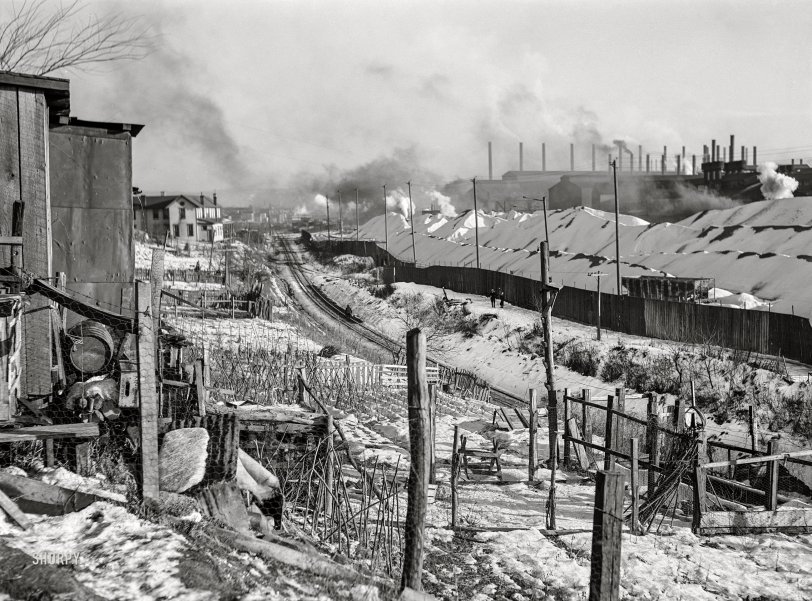 SHORPY 8c18865a.preview SHORPY 8c18865a.preview