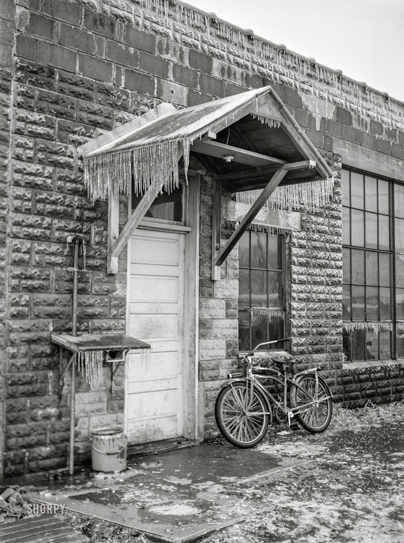 SHORPY 8c18915a.preview SHORPY 8c18915a.preview