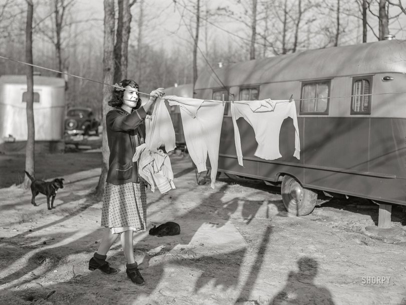 SHORPY 8c18968a.preview SHORPY 8c18968a.preview
