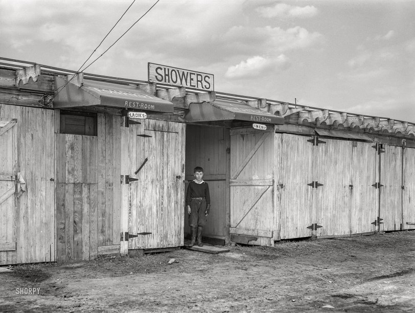 SHORPY 8c19020a.preview SHORPY 8c19020a.preview