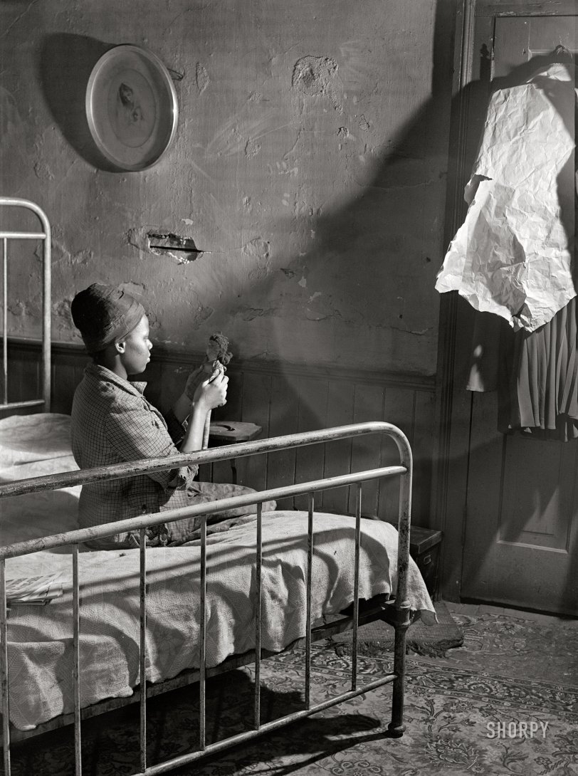 SHORPY 8c19033a.preview SHORPY 8c19033a.preview