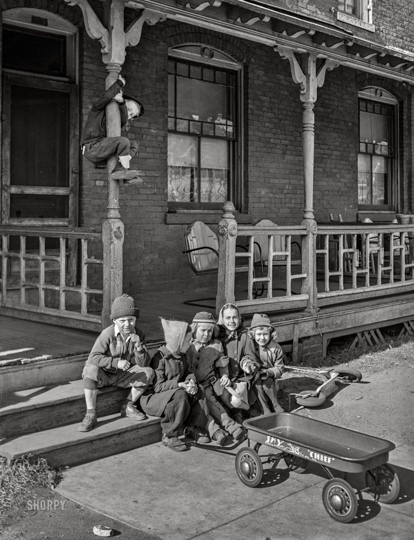SHORPY 8c19087a.preview SHORPY 8c19087a.preview