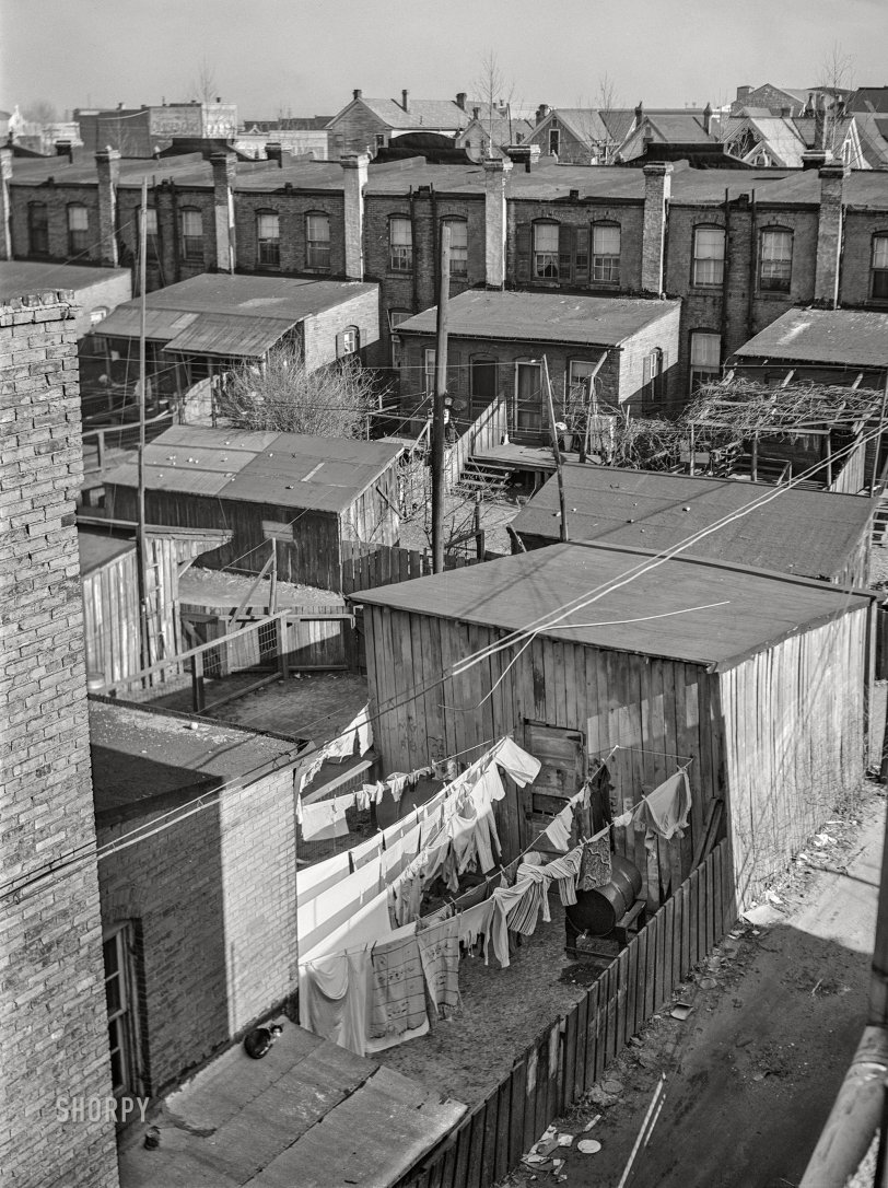 SHORPY 8c19089a.preview SHORPY 8c19089a.preview