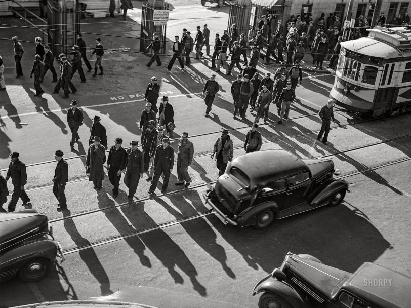 SHORPY 8c19108a.preview SHORPY 8c19108a.preview