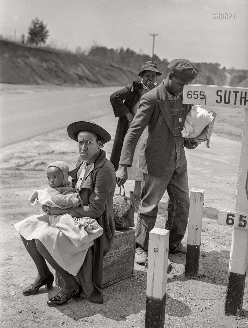 SHORPY 8c19241a.preview SHORPY 8c19241a.preview