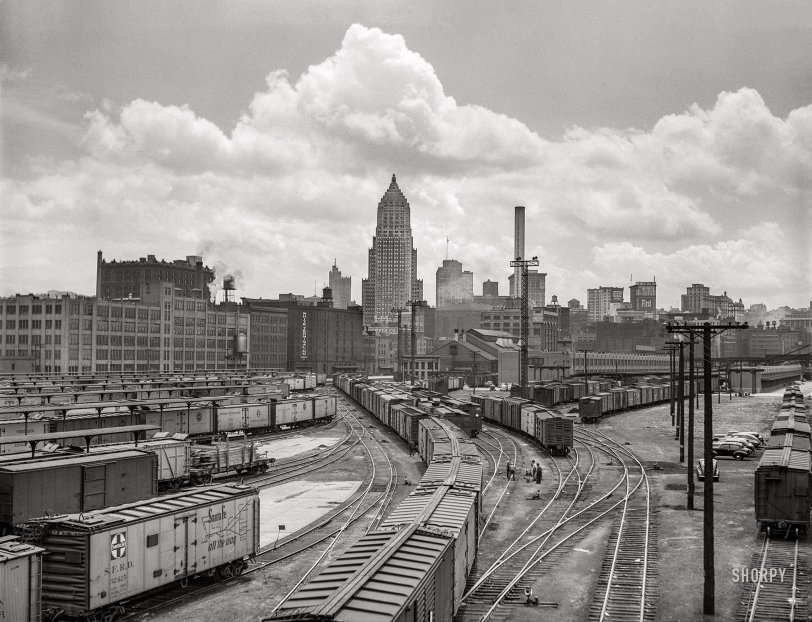 SHORPY 8c19365a.preview SHORPY 8c19365a.preview