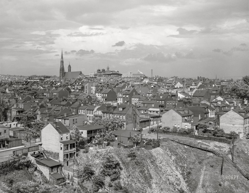 SHORPY 8c19409a.preview SHORPY 8c19409a.preview