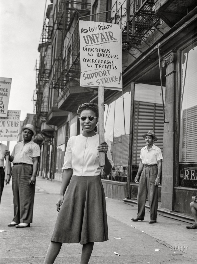 SHORPY 8c19551a.preview SHORPY 8c19551a.preview
