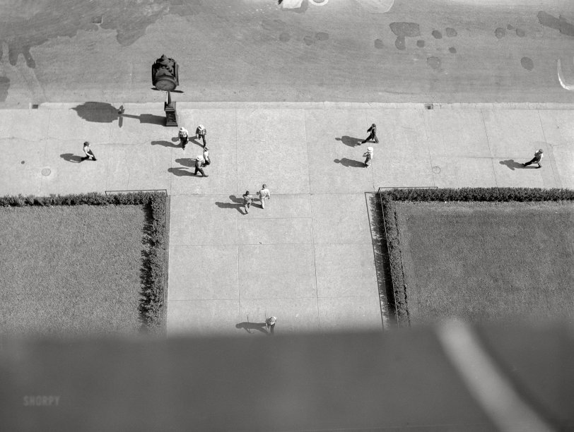 SHORPY 8c19560a.preview SHORPY 8c19560a.preview