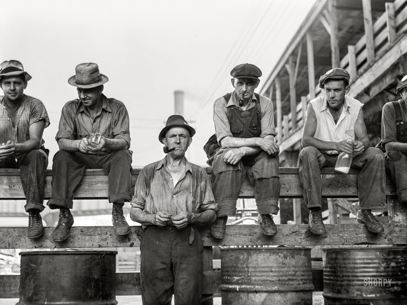 SHORPY 8c19573a.preview SHORPY 8c19573a.preview