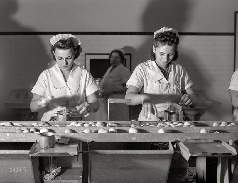 SHORPY 8c19581a.preview SHORPY 8c19581a.preview