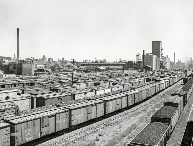 SHORPY 8c19661a.preview SHORPY 8c19661a.preview