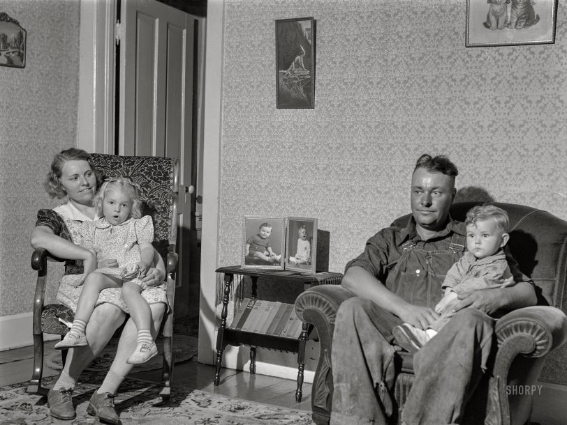 SHORPY 8c19771a.preview SHORPY 8c19771a.preview