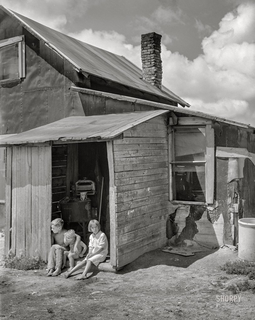 SHORPY 8c19792a1 1.preview SHORPY 8c19792a1 1.preview