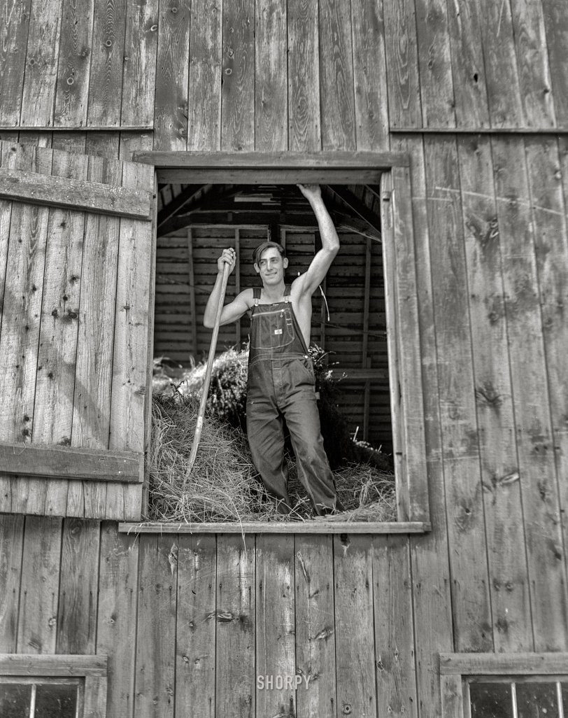 SHORPY 8c19794a1.preview SHORPY 8c19794a1.preview