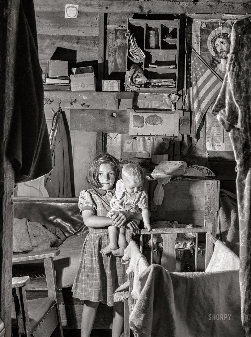 SHORPY 8c19834a.preview SHORPY 8c19834a.preview