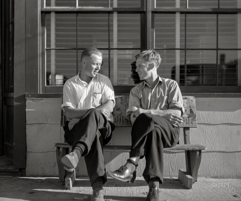 SHORPY 8c19953a1.preview SHORPY 8c19953a1.preview