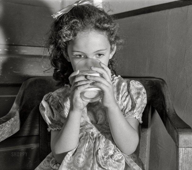 SHORPY 8c20016a1.preview SHORPY 8c20016a1.preview