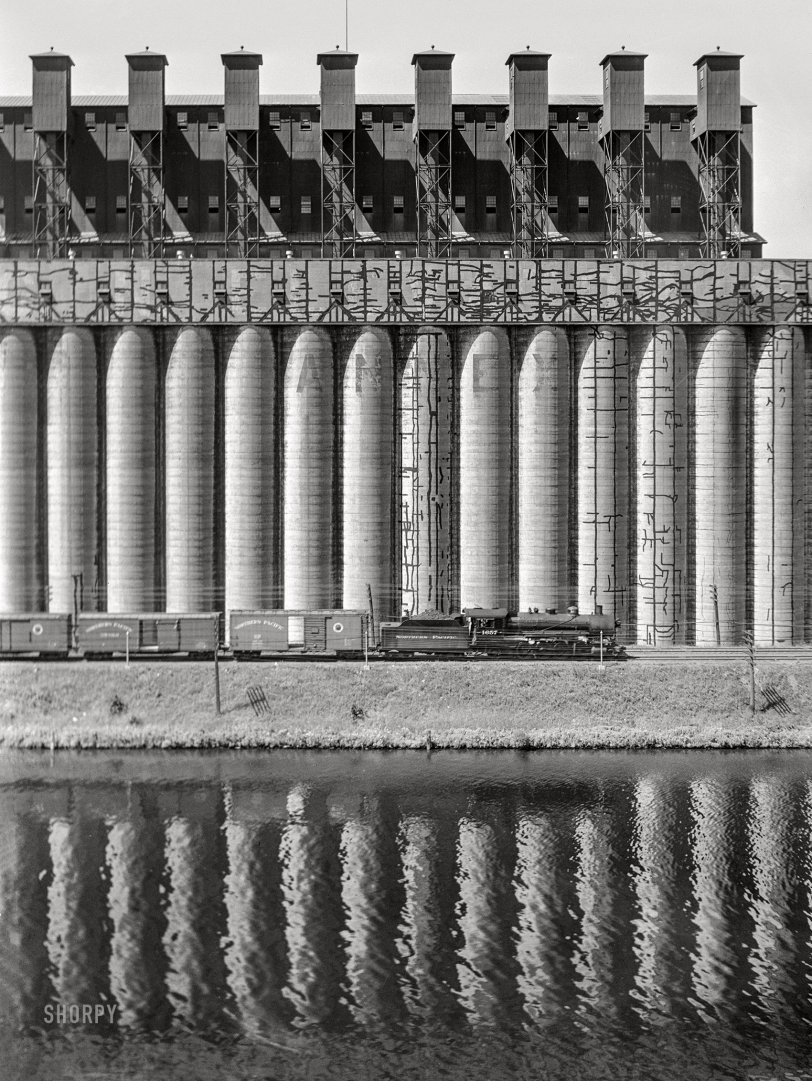 SHORPY 8c20202a.preview SHORPY 8c20202a.preview