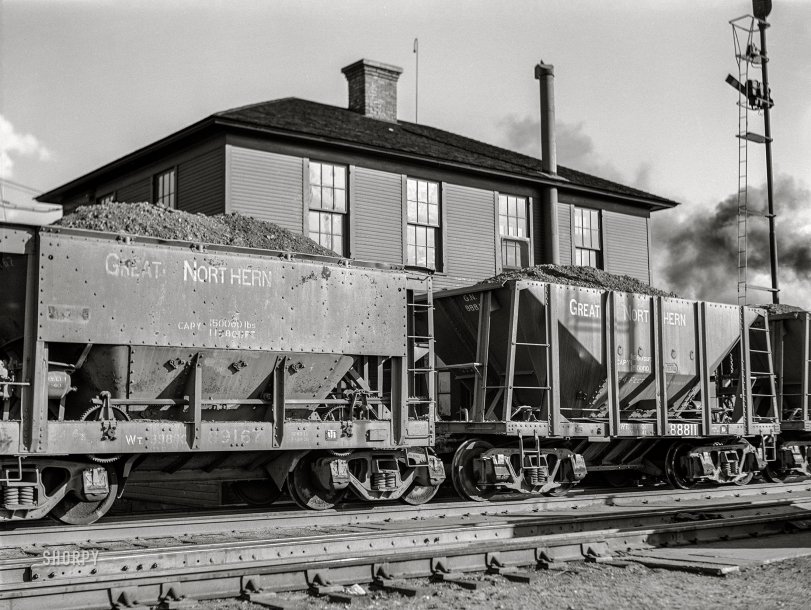 SHORPY 8c20261a.preview SHORPY 8c20261a.preview