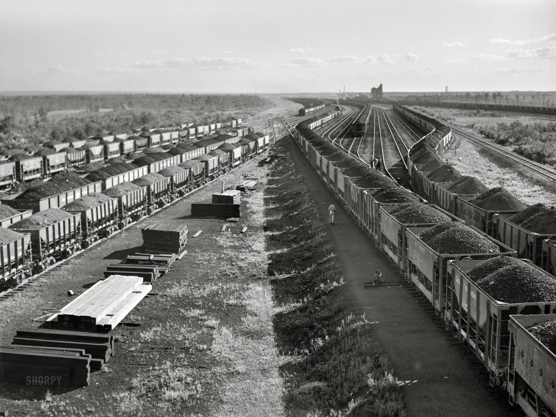 SHORPY 8c20284a.preview SHORPY 8c20284a.preview