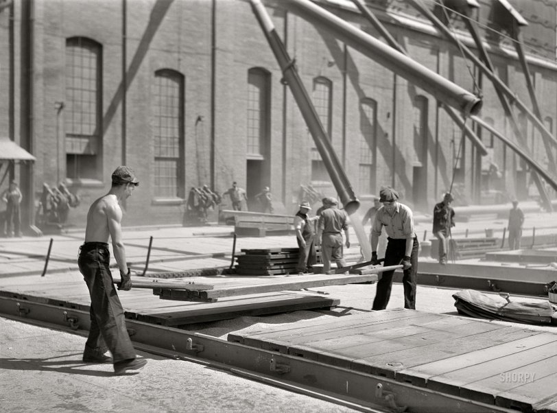 SHORPY 8c20286a.preview SHORPY 8c20286a.preview