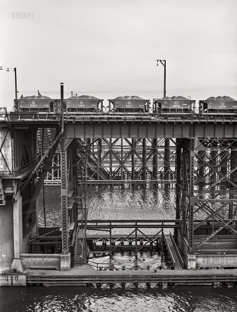 SHORPY 8c20290a.preview SHORPY 8c20290a.preview