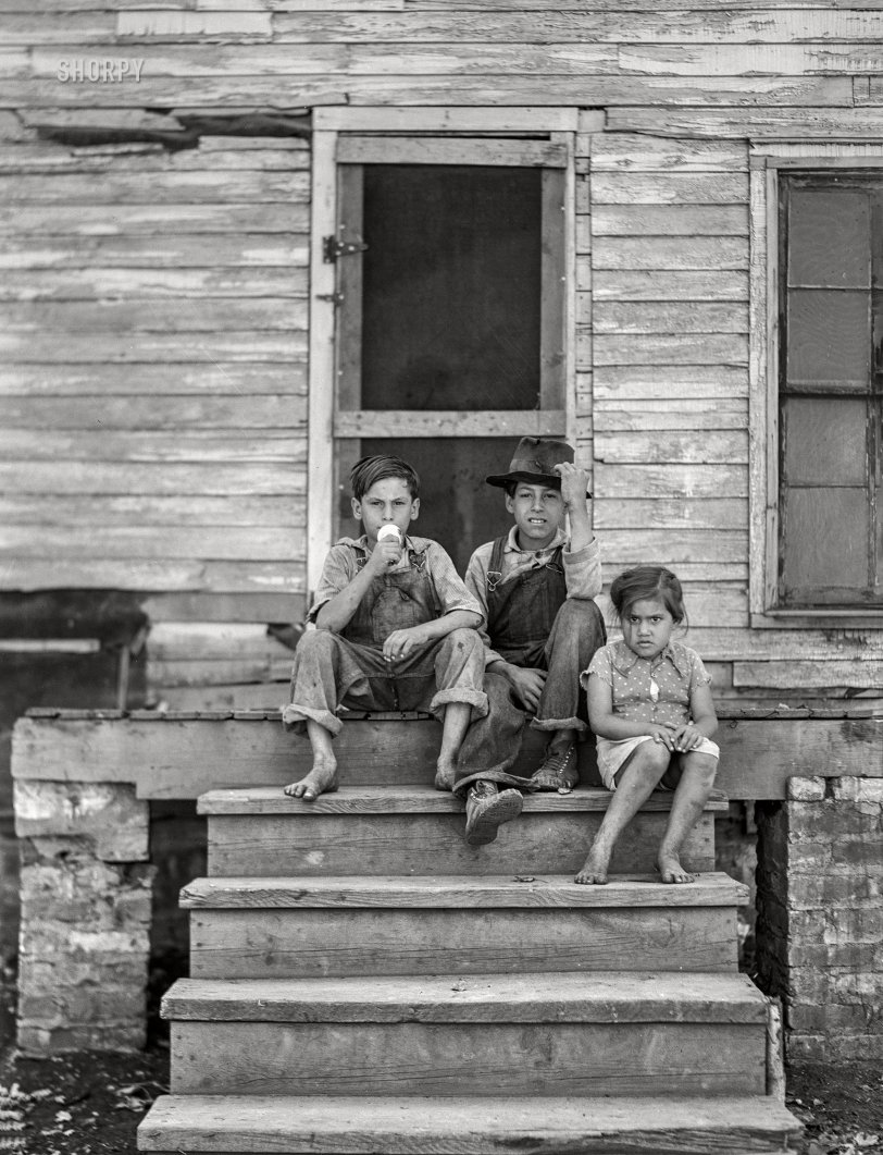 SHORPY 8c20311a.preview SHORPY 8c20311a.preview