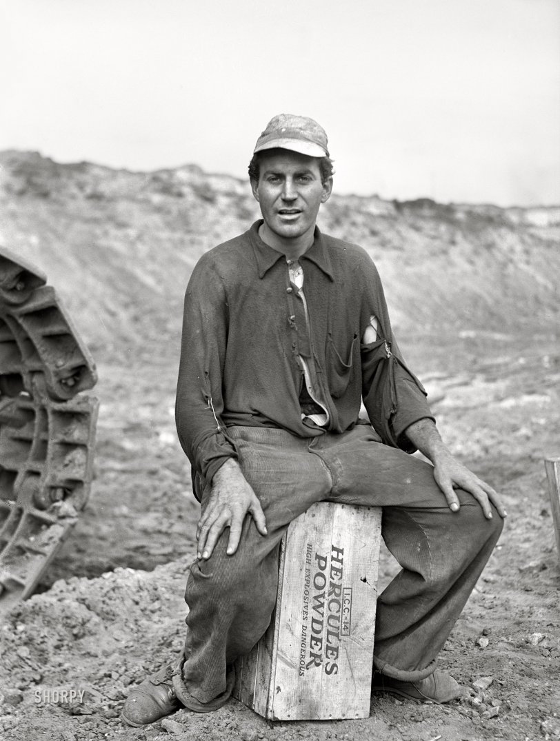 SHORPY 8c20342a.preview SHORPY 8c20342a.preview