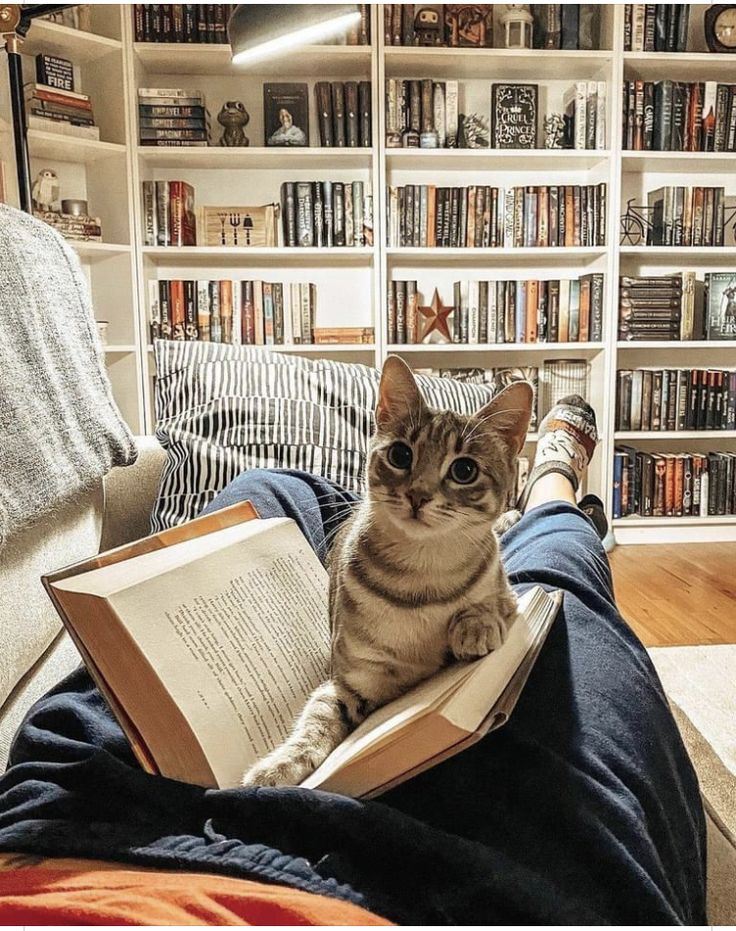 3d6bf6167d7a039a5c4f9f1e3859d4e1