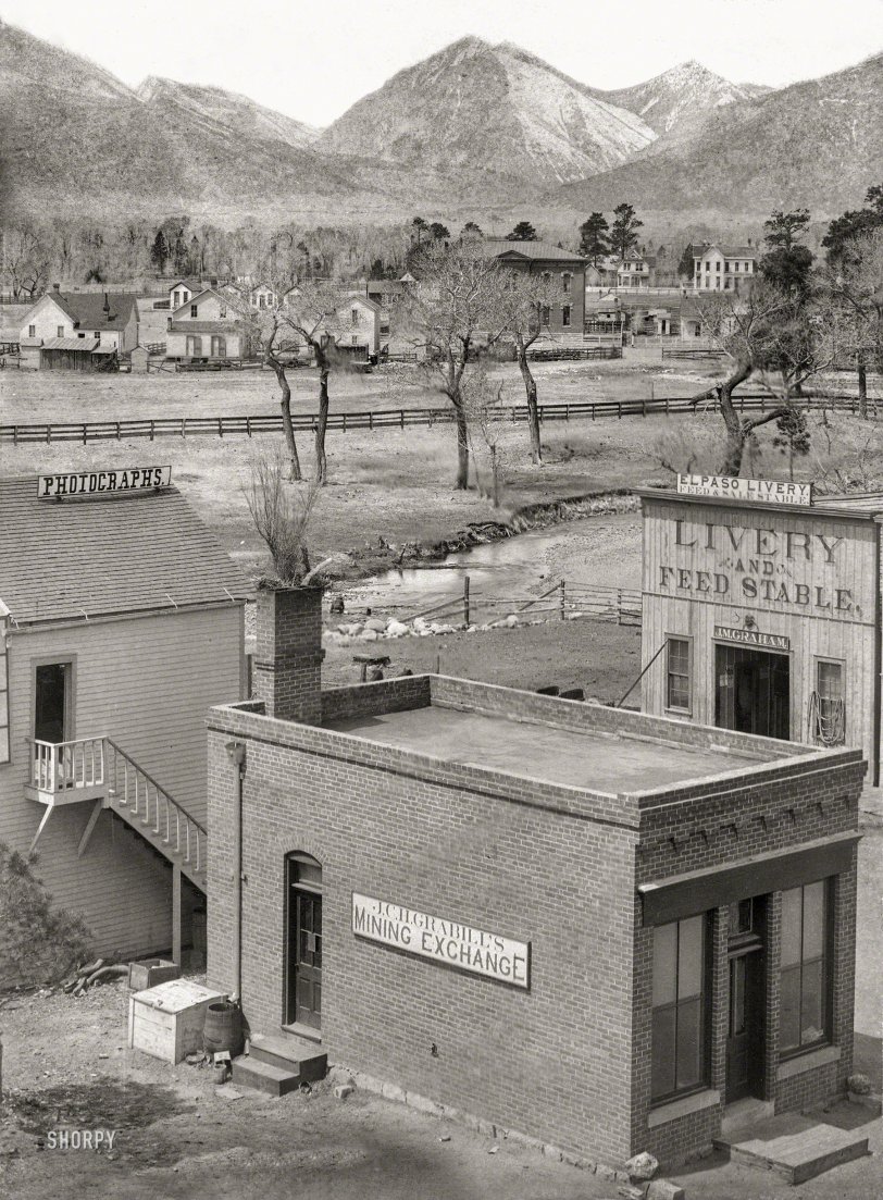 SHORPY 02573u.preview