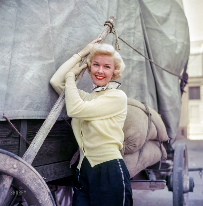 SHORPY 03492u.preview