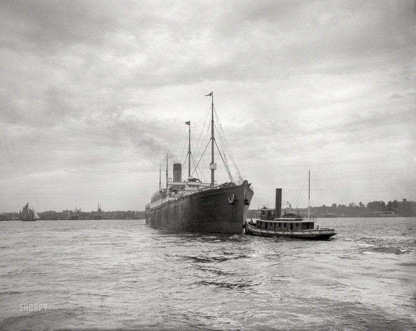 SHORPY 4a15420a.preview
