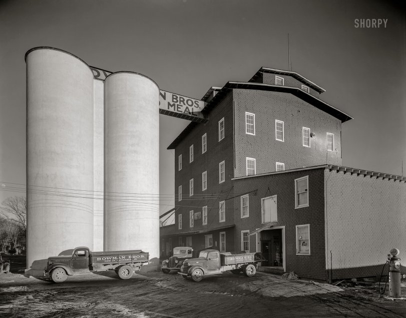 SHORPY 5a42665u.preview