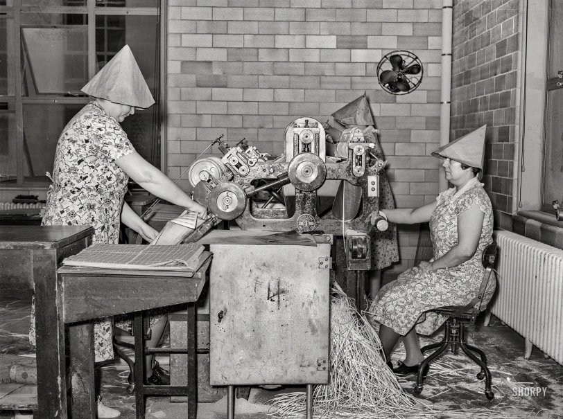 SHORPY 8b14735a.preview