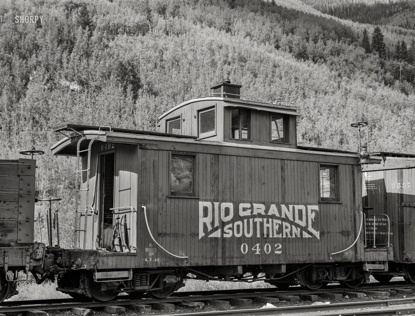SHORPY 8b26046a.preview SHORPY 8b26046a.preview