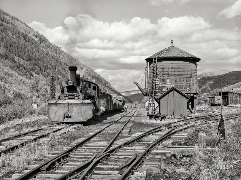 SHORPY 8b26050a.preview SHORPY 8b26050a.preview