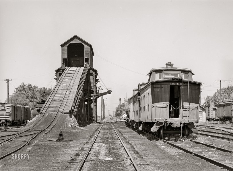 SHORPY 8c01760a.preview