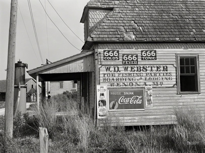 SHORPY 8c02417a.preview