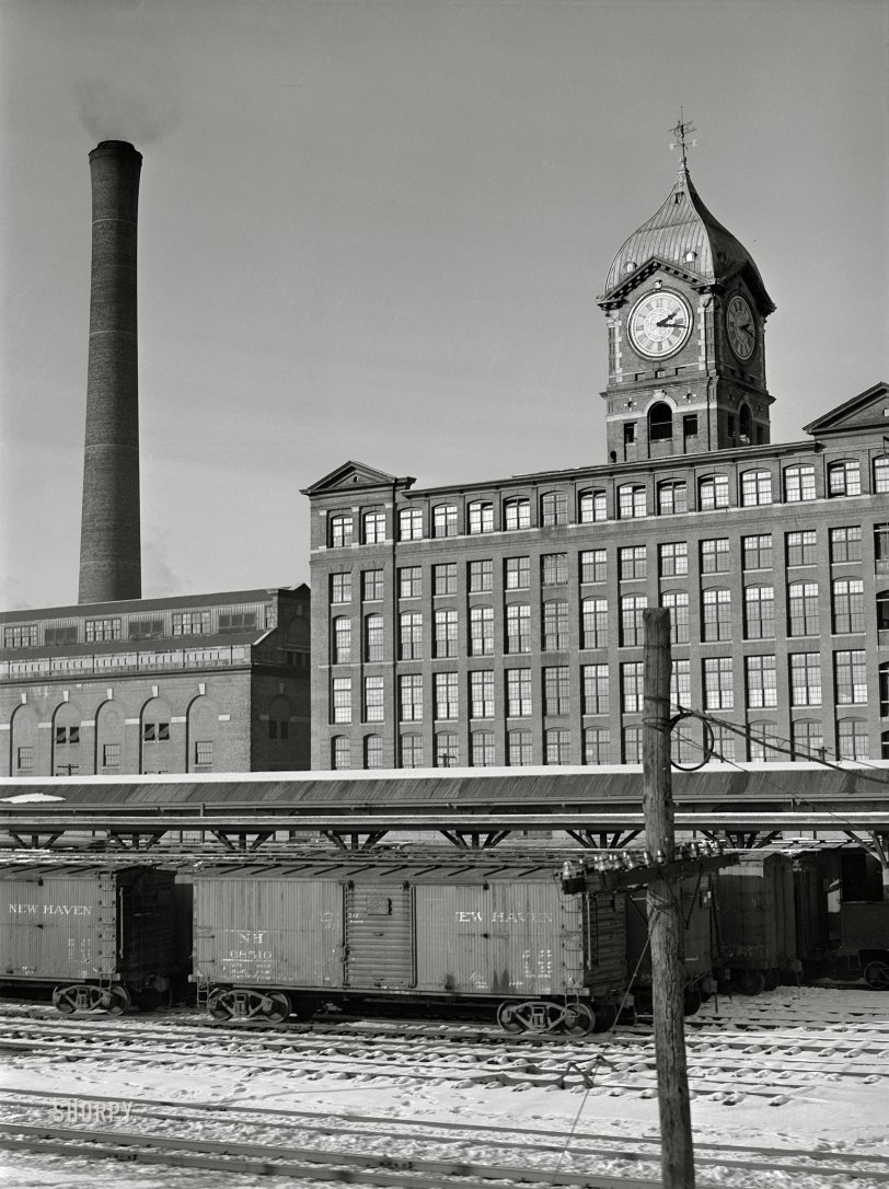 SHORPY 8c04298a.preview SHORPY 8c04298a.preview