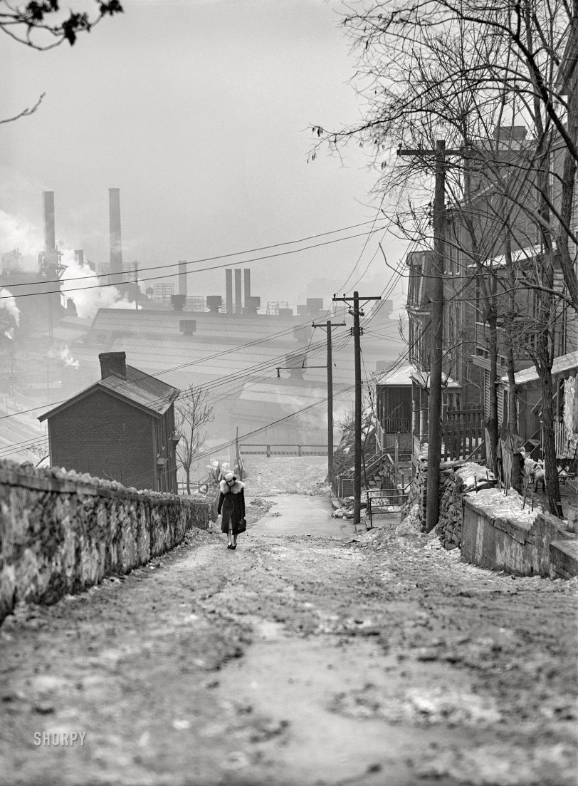 SHORPY 8c04579a.preview SHORPY 8c04579a.preview