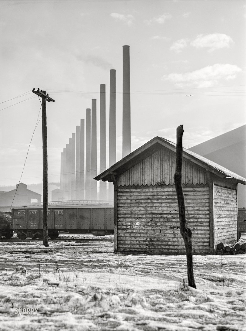 SHORPY 8c04599a.preview SHORPY 8c04599a.preview
