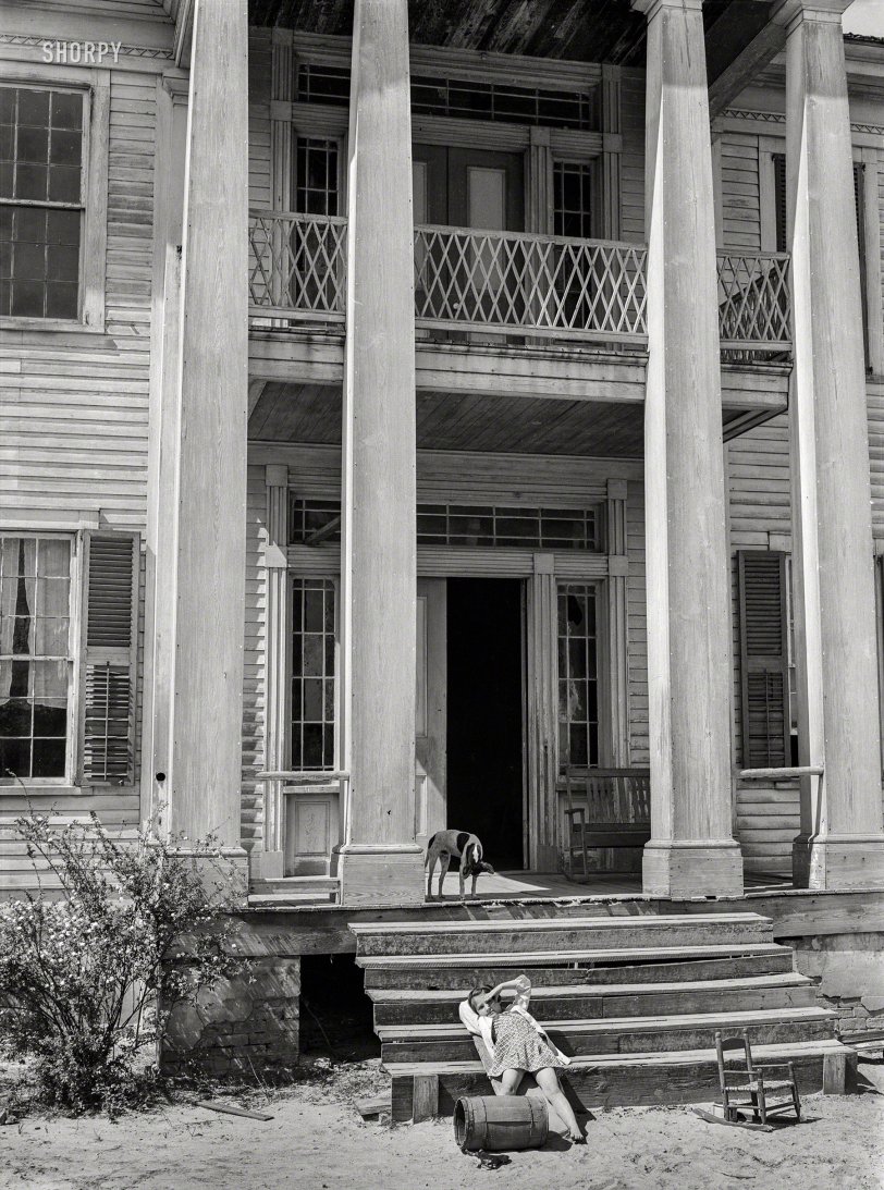 SHORPY 8c10288a.preview