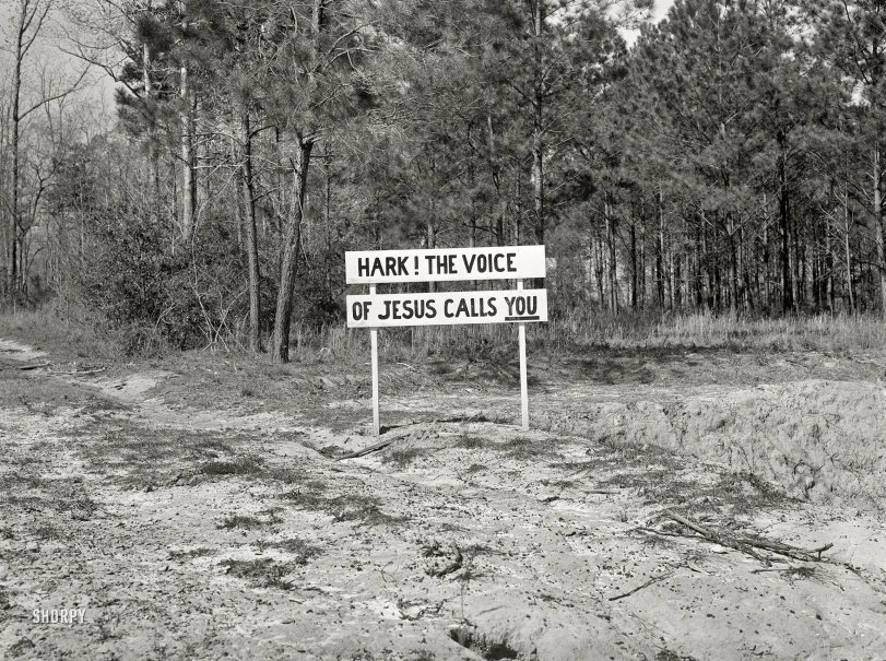 SHORPY 8c10290a.preview