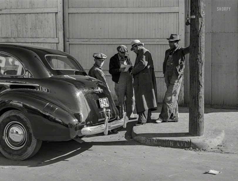 SHORPY 8c10847a.preview